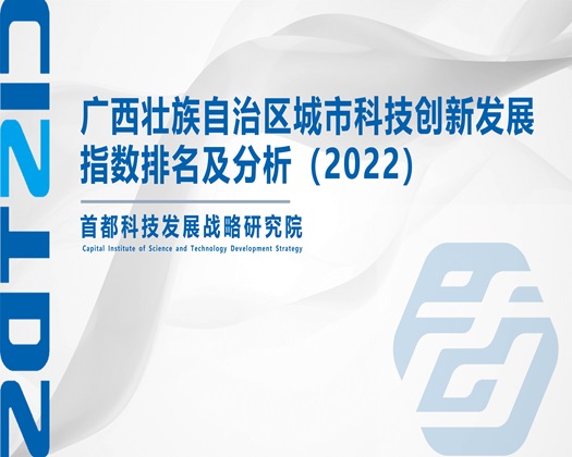 欧美老年人肏逼视频【成果发布】广西壮族自治区城市科技创新发展指数排名及分析（2022）